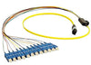 1 meter Single Mode 12 Fiber MTP(male) - SC/UPC Fan Out Cable Assembly