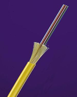 9/125µm Single Mode Jacketed Fiber Ribbon - 12 fibers