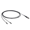 TH-BFYF1LS01 - Bifurcated Fiber Bundle, Ø200 µm Core, 0.22 NA, SMA905 to Ø2.5 mm Ferrules, 1 m Long