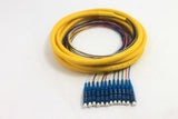 Distribution Pigtail 12 Fiber Singlemode LC/UPC Blue Boots 3 Meters