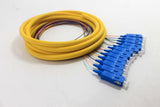 Distribution Pigtail 12 Fiber Singlemode SC/UPC Blue Boots 3 Meters